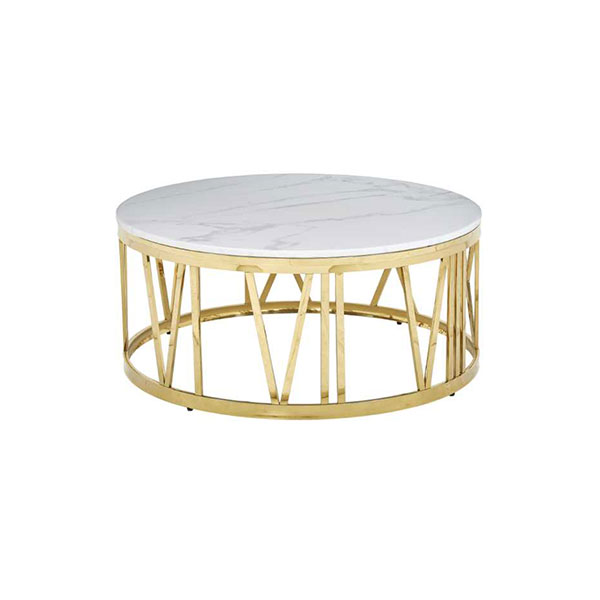 Modern Coffee Table with stainless steel frame